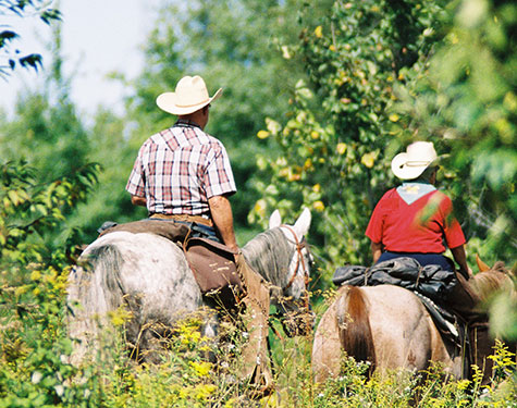 QC_Horseback-riding_credit-Cheval-Quebec_crop