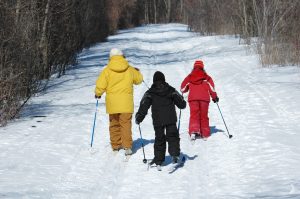 One adult and two children in snowsuits cross country skiing on a trail.